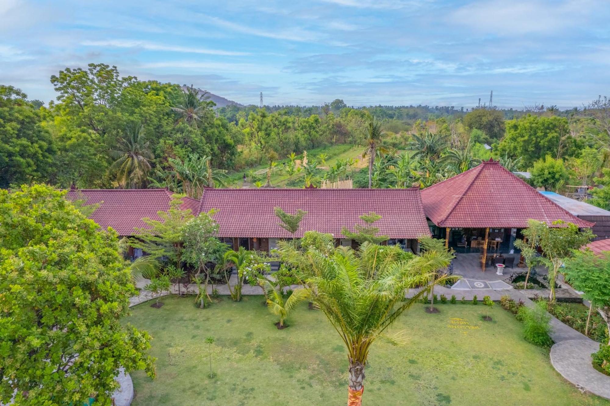 Hotel Taman Bidadari Eco Wellness Pemuteran Zewnętrze zdjęcie
